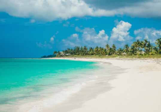 Turquoise Caribbean sea bordered by white sandy beach and palm trees